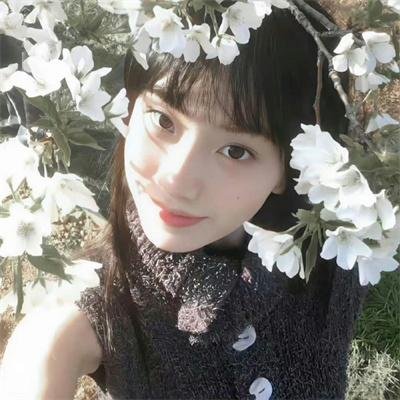 浪蝶寻春